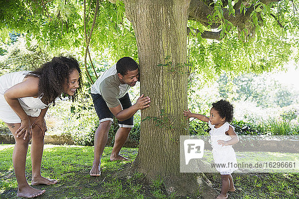 Eltern spielen Verstecken mit süßer Kleinkind-Tochter am Baum
