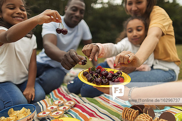 Family eating fresh cherries on picnic blanket in park