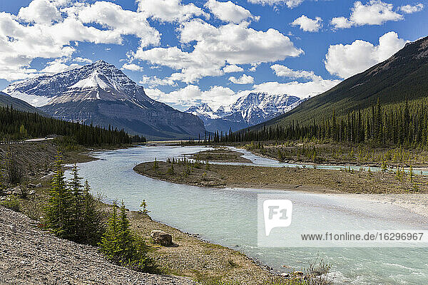 Kanada  Alberta  Jasper National Park  Banff National Park  Icefields Parkway  Berg Tangle Ridge am Athabasca River