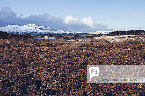 UK  Scotland  Brown landscape of Isle of Skye in winter