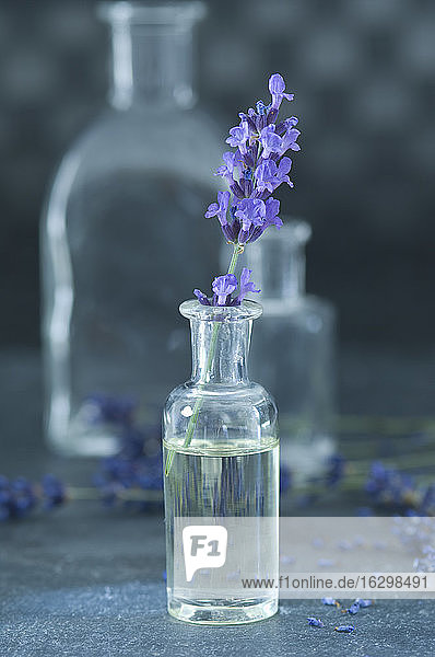 Aromatisches Öl und Lavendelzweig in einer Glasflasche