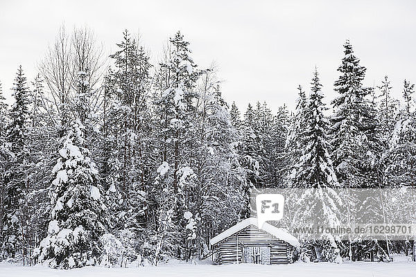 Skandinavien  Finnland  Kittilaentie  Holzhütte im Wald  Winter