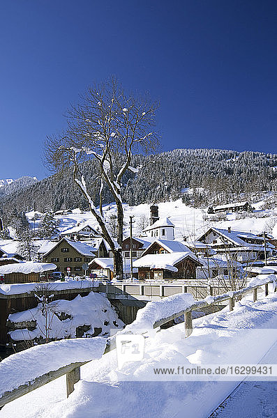 Deutschland  Bayern  Dorf Gunzesried im Winter