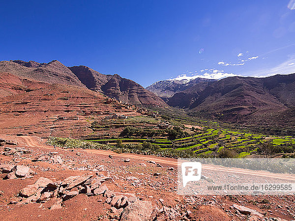 Marokko  Marrakesch-Tensift-El Haouz  Atlasgebirge  Dorf Anammer  Ourika-Tal