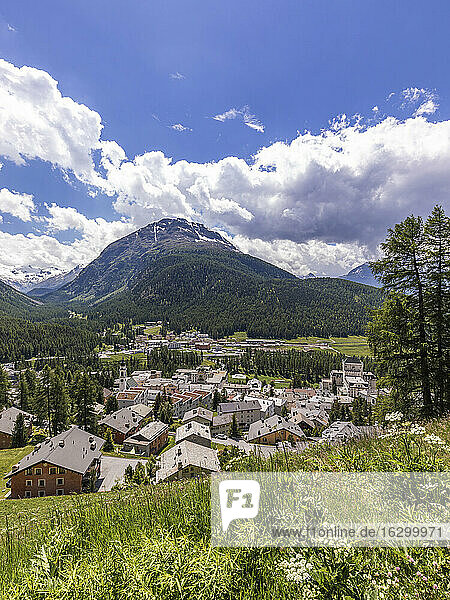 Schweiz  Kanton Graubünden  Pontresina  Stadt im Val Bernina an einem sonnigen Sommertag