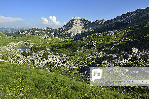 Montenegro  Durmitor-Nationalpark  Alpweide bei Valoviti Do