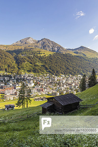 Schweiz  Kanton Graubünden  Davos  Stadt im bewaldeten Tal der Rätischen Alpen im Sommer