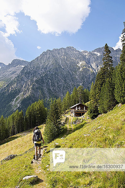 Italy  South Tyrol  Puster Valley  Antholz-Obertal  Staller Saddle  Woman hiking at Steinzgeralm