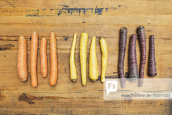 Reihe lila  orange und gelbe Karotten auf Holzoberfläche