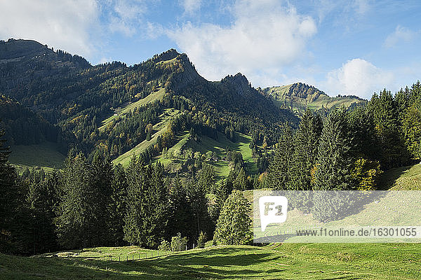 Schweiz  Kanton St. Gallen  Blick auf die Voralpen