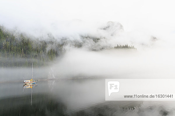 Kanada  Britisch-Kolumbien  Khutzeymateen Valley  Khutzeymateen Provincial Park  Fjord mit Nebel