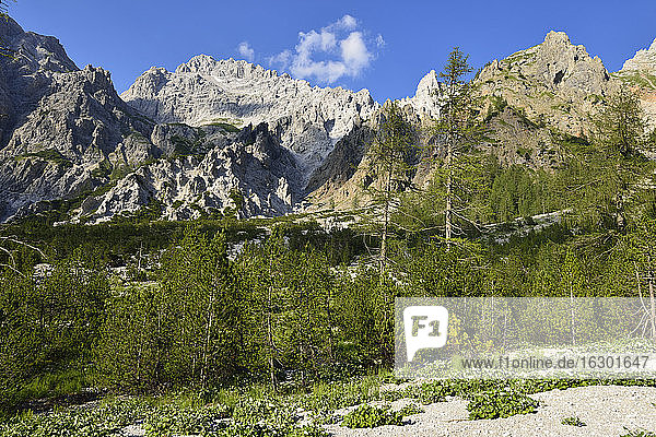 Deutschland  Bayern  Alpen  Nationalpark Berchtesgaden  Wimbachgries mit Watzmann