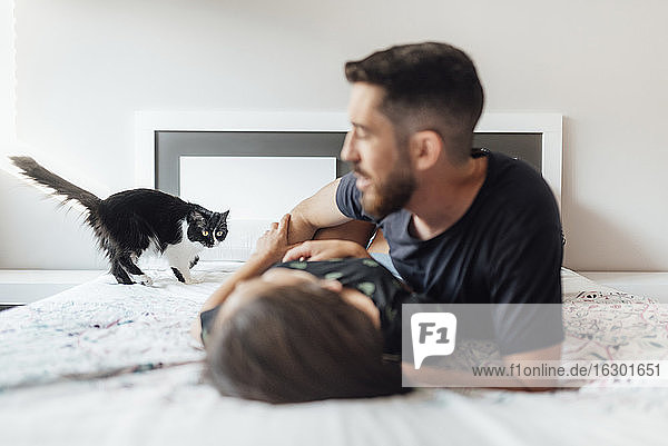 Couple lying down on bed while playing with cat at home