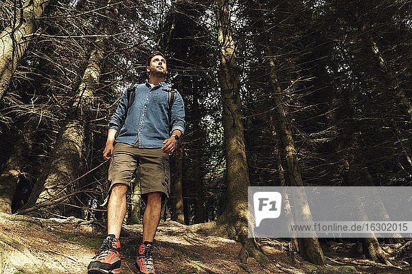 Male hiker looking away while standing against trees in forest