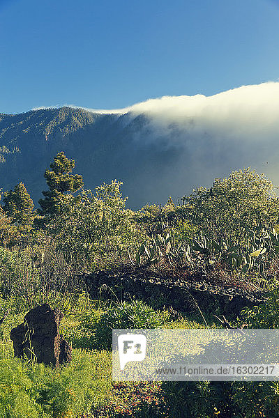 Spain  Canary Islands  La Palma  landscape in Caldera de Taburiente National Park