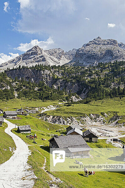 Italien  Südtirol  Dolomiten  Naturpark Fanes-Sennes-Prags  Blick auf Fodara Vedla