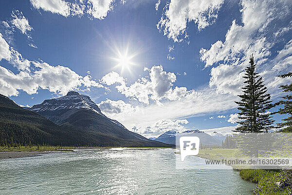 Kanada  Alberta  Jasper National Park  Banff National Park  Icefields Parkway  Fluss im Sonnenlicht