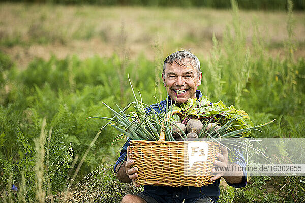 Mann hält Gemüsekorb  während er auf dem Bauernhof sitzt