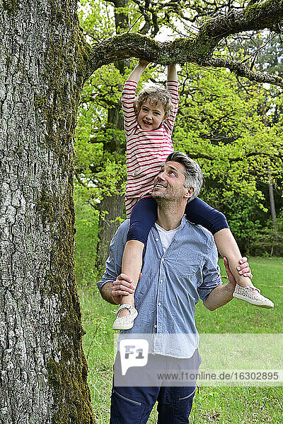 Mädchen hält einen Ast und sitzt auf der Schulter ihres Vaters im Wald