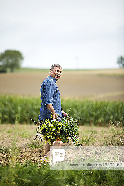 Glücklicher Bauer hält Gemüsekorb beim Spaziergang auf dem Bauernhof