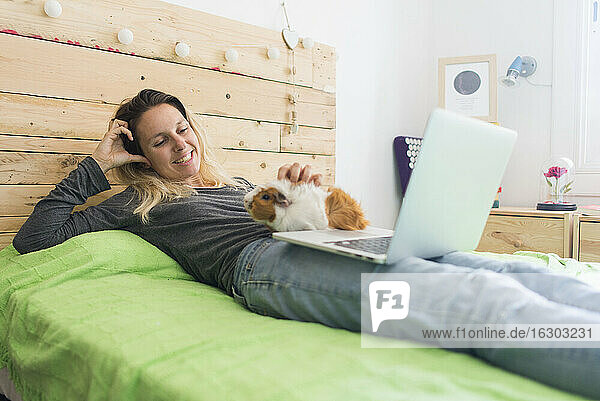 Lächelnde Frau  die ein Meerschweinchen streichelt  während sie mit ihrem Laptop zu Hause auf dem Bett liegt