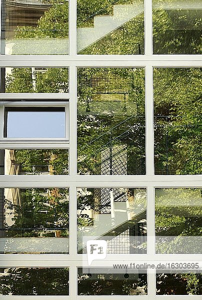 Deutschland  Berlin  Spiegelung von Pflanzen und Stufen auf Glasfront
