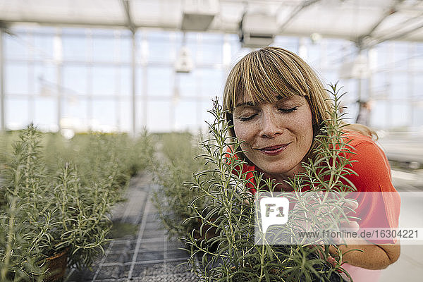 Nahaufnahme einer Unternehmerin mit geschlossenen Augen  die an Pflanzen im Gewächshaus riecht