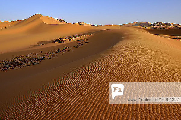 Afrika  Algerien  Sahara  Tassili N'Ajjer National Park  Tadrart  Sanddünen am Oued In Djerane