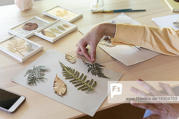 Hands of young woman arranging dry leaves on cardboard at table
