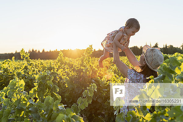 Mutter hält ihre Tochter in einem Weinberg bei Sonnenuntergang in der Provence  Frankreich