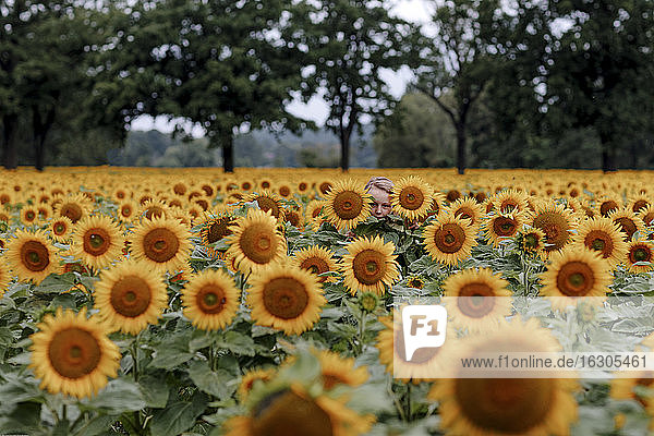 Girl hiding in sunflower field during summer