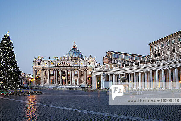 Italy  Vatican  Rome  Piazza San Pietro  St. Peter's Basilica and christmas tree in the morning