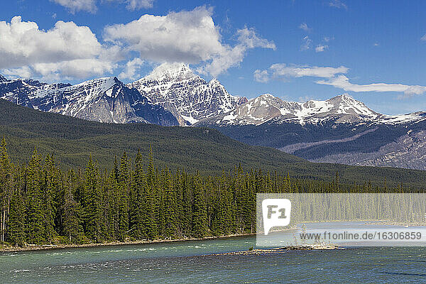 Kanada  Alberta  Jasper National Park  Banff National Park  Icefields Parkway  Athabasca River