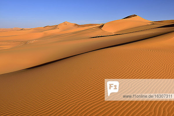 Algerien  Sahara  Tassili N'Ajjer National Park  Blick auf die Sanddünen von Tehak