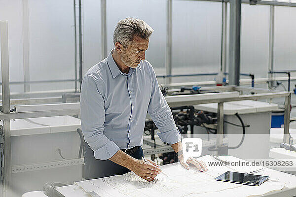 Businessman analyzing blueprint on table in greenhouse