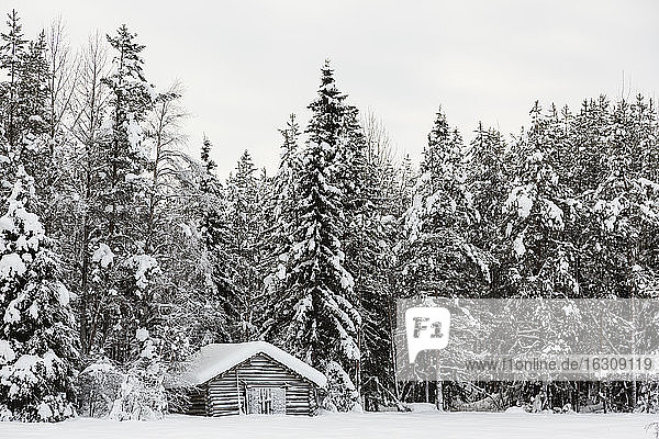 Skandinavien  Finnland  Kittilaentie  Holzhütte am Rande des Waldes