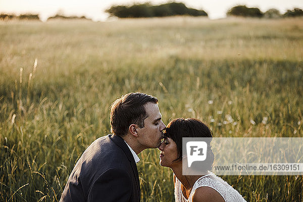 Bräutigam küsst auf die Stirn der Braut auf einem Feld bei Sonnenuntergang