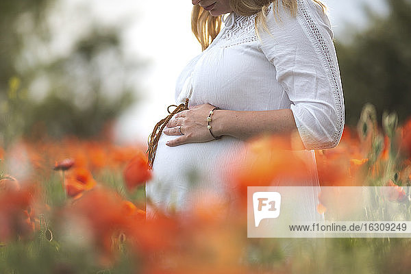 Nahaufnahme einer schwangeren Frau mit Händen auf dem Bauch in einem Mohnfeld