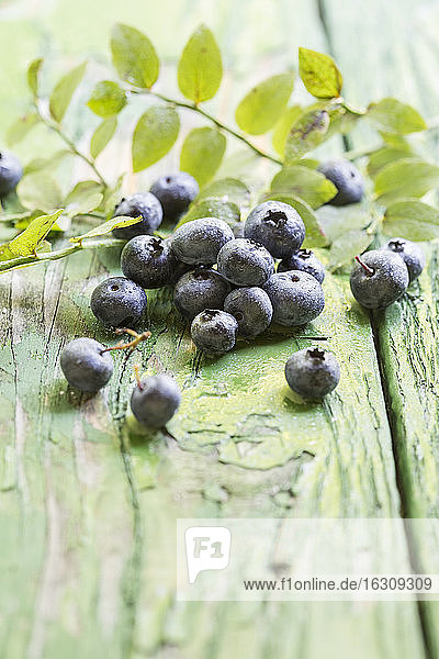 Blaubeeren auf grünem Tisch  Nahaufnahme