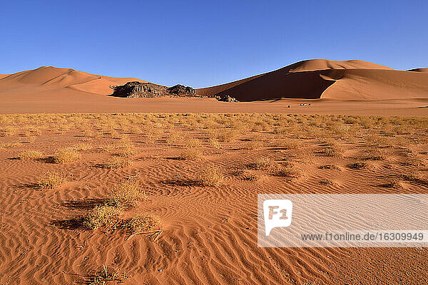 Algerien  Sahara  Tassili N'Ajjer National Park  Sanddünen bei Tin Merzouga