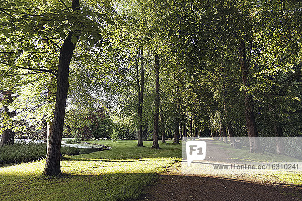 Germany  North Rhine-Westphalia  Park of Anholt Castle