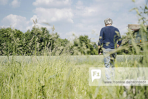 Mann mit Laptop geht auf Gras in einem landwirtschaftlichen Feld