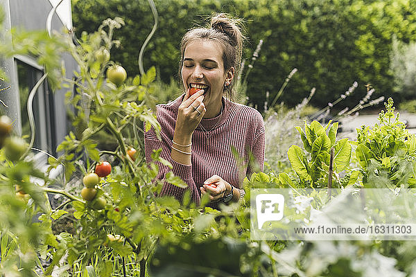 Glückliche junge Frau isst Kirschtomate inmitten von Pflanzen im Gemeinschaftsgarten