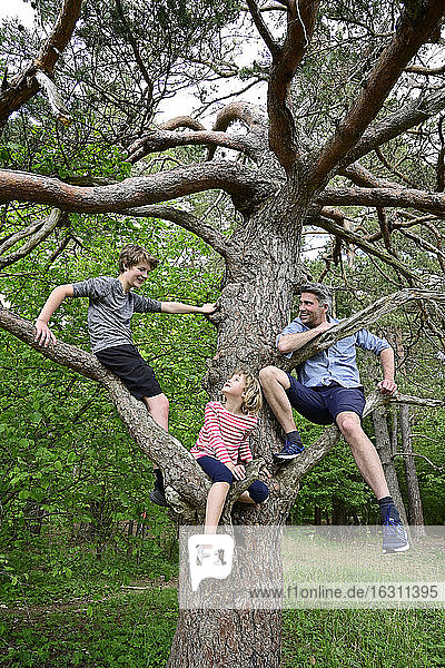Children and father smiling while sitting on branch of tree in forest