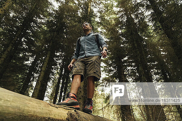 Man standing on log against trees in forest