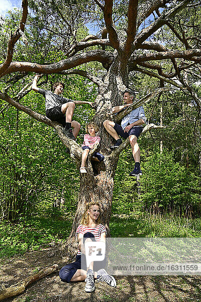 Familie sitzt entspannt auf einem Baum im Wald