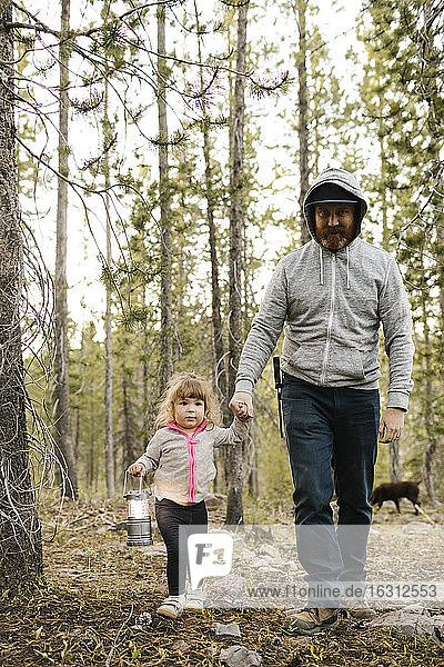 Vater mit Tochter (2-3) beim Waldspaziergang  Wasatch-Cache National Forest