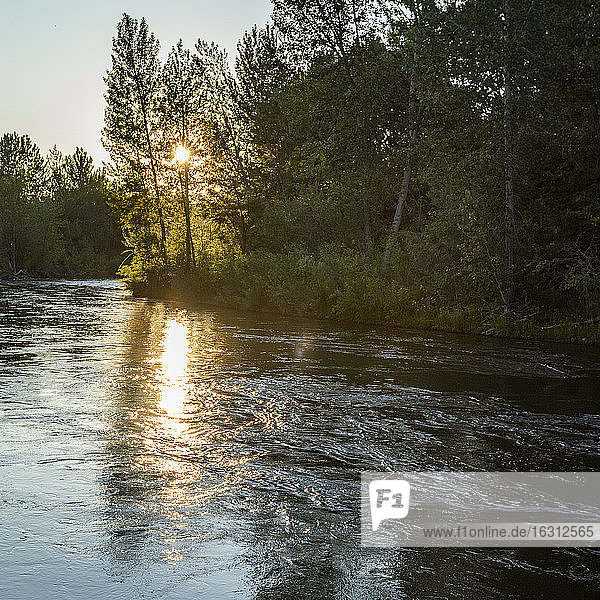 USA  Idaho  Boise  Sonnenuntergang über Wald und Fluss