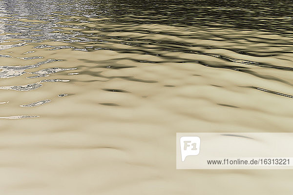 Umgekehrtes Bild des ruhigen Wassers eines Süßwassersees  Wellen an der Oberfläche