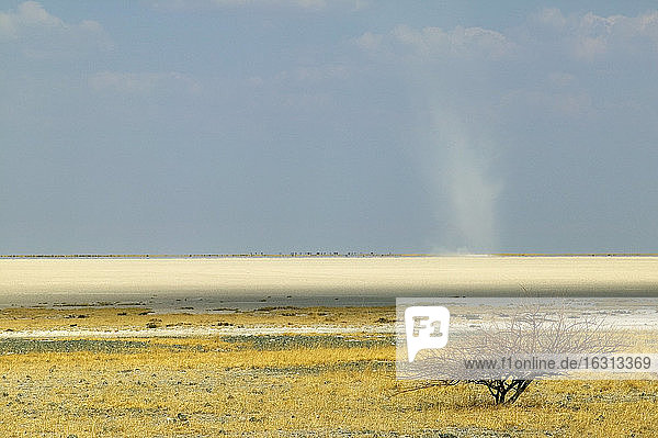 Blick über die Makadikadi-Salzpfannen in Botswana.